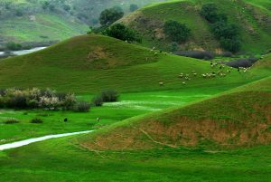 بانک اطلاعات اصناف چهارمحال و بختیاری